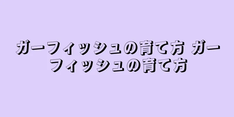 ガーフィッシュの育て方 ガーフィッシュの育て方