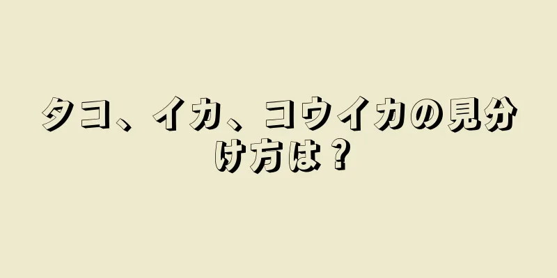 タコ、イカ、コウイカの見分け方は？