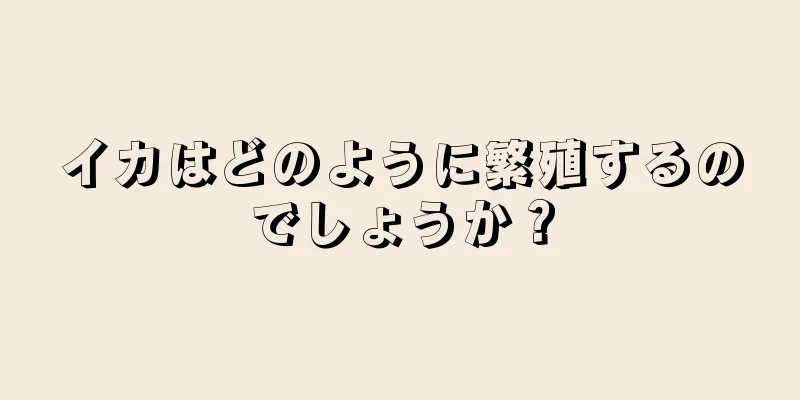 イカはどのように繁殖するのでしょうか？