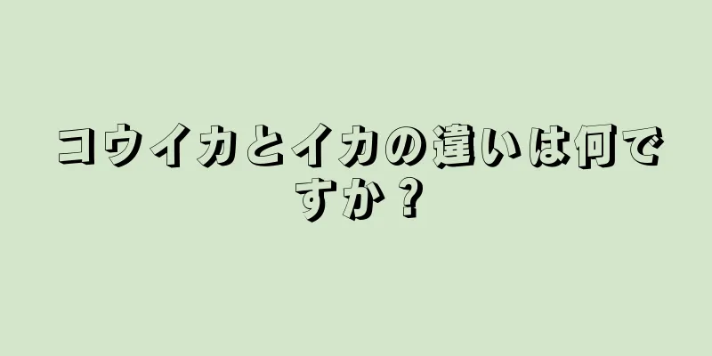 コウイカとイカの違いは何ですか？