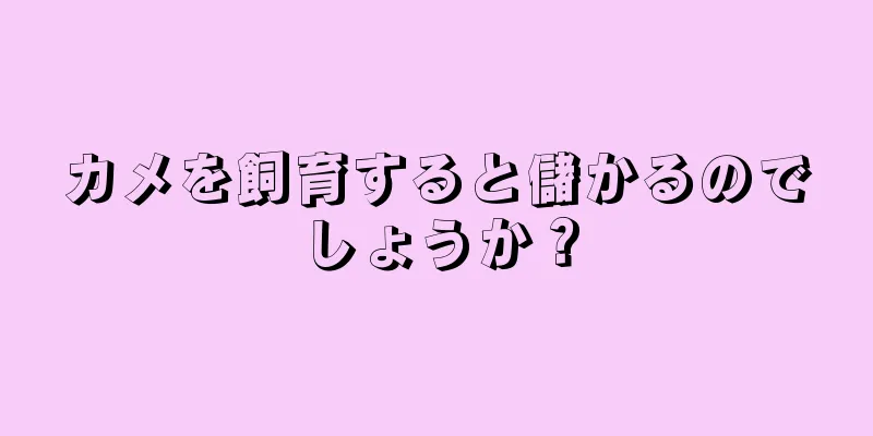 カメを飼育すると儲かるのでしょうか？