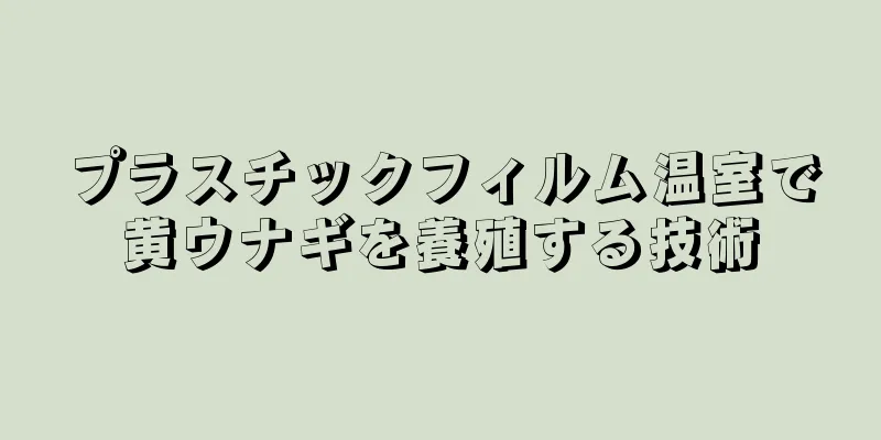 プラスチックフィルム温室で黄ウナギを養殖する技術