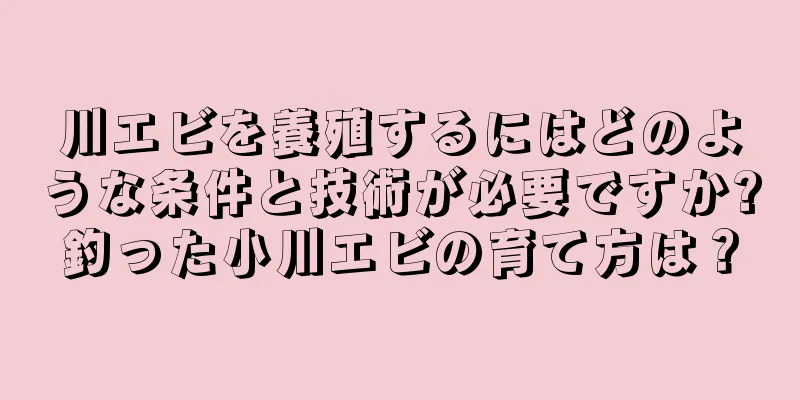 川エビを養殖するにはどのような条件と技術が必要ですか?釣った小川エビの育て方は？