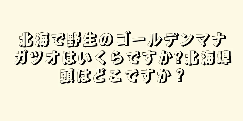 北海で野生のゴールデンマナガツオはいくらですか?北海埠頭はどこですか？