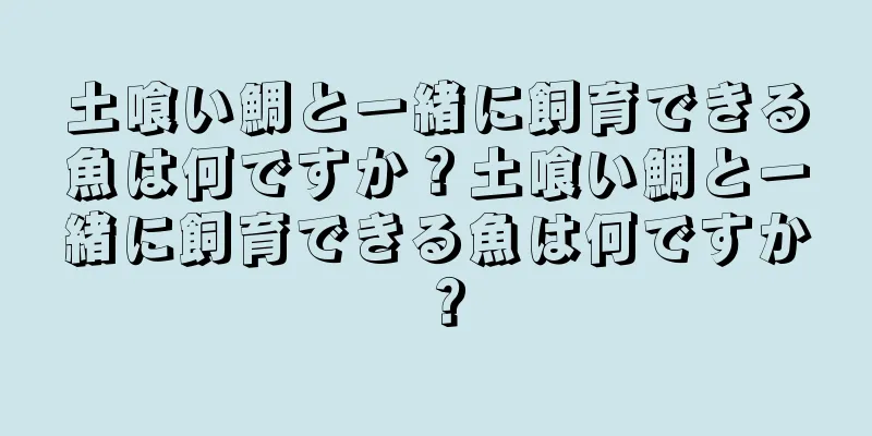 土喰い鯛と一緒に飼育できる魚は何ですか？土喰い鯛と一緒に飼育できる魚は何ですか？