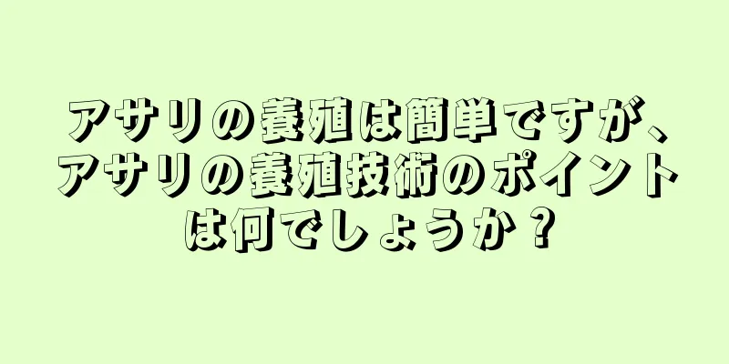 アサリの養殖は簡単ですが、アサリの養殖技術のポイントは何でしょうか？