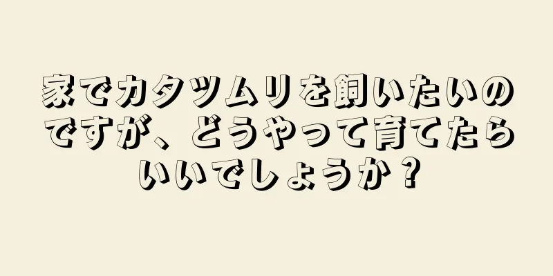 家でカタツムリを飼いたいのですが、どうやって育てたらいいでしょうか？