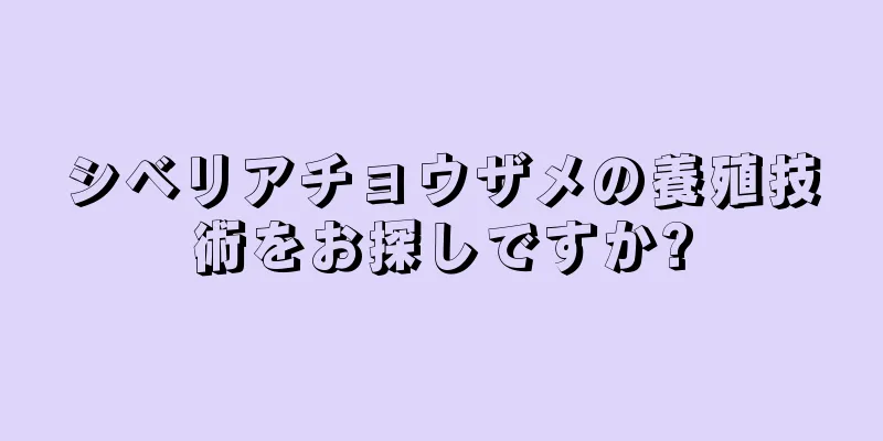 シベリアチョウザメの養殖技術をお探しですか?