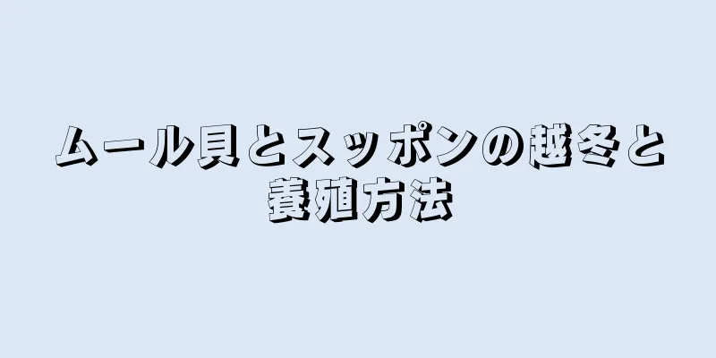 ムール貝とスッポンの越冬と養殖方法