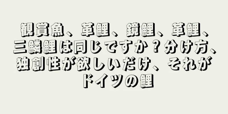 観賞魚、革鯉、鏡鯉、革鯉、三鱗鯉は同じですか？分け方、独創性が欲しいだけ、それがドイツの鯉