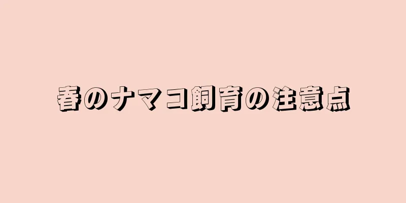 春のナマコ飼育の注意点
