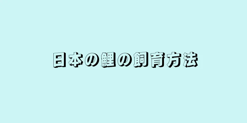 日本の鯉の飼育方法