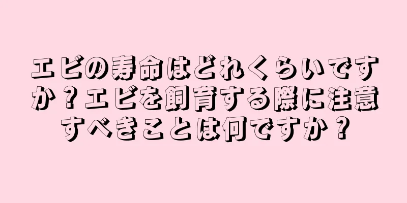 エビの寿命はどれくらいですか？エビを飼育する際に注意すべきことは何ですか？