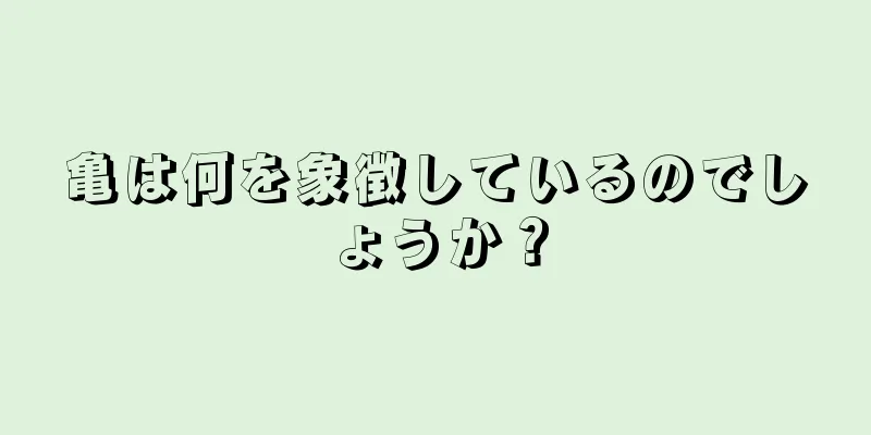 亀は何を象徴しているのでしょうか？
