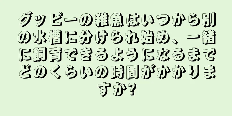 グッピーの稚魚はいつから別の水槽に分けられ始め、一緒に飼育できるようになるまでどのくらいの時間がかかりますか?