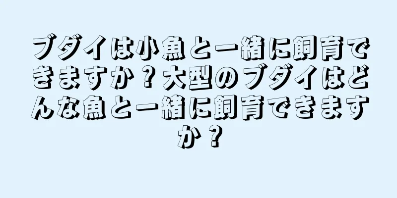 ブダイは小魚と一緒に飼育できますか？大型のブダイはどんな魚と一緒に飼育できますか？