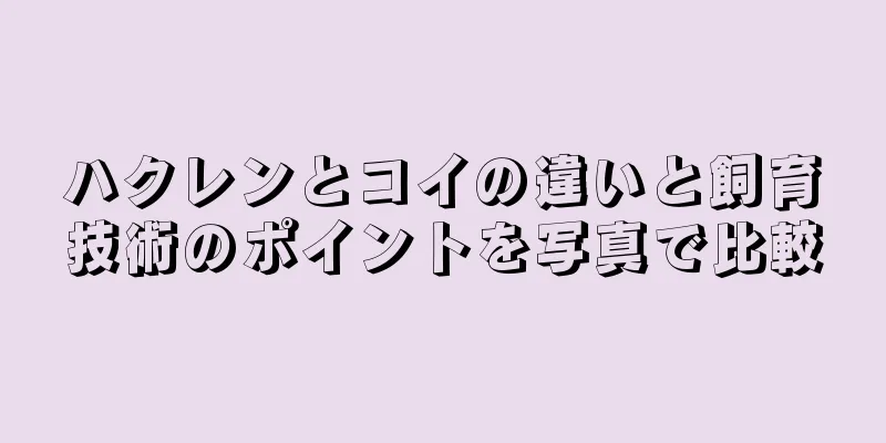 ハクレンとコイの違いと飼育技術のポイントを写真で比較