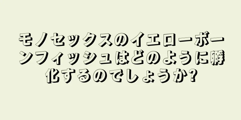 モノセックスのイエローボーンフィッシュはどのように孵化するのでしょうか?