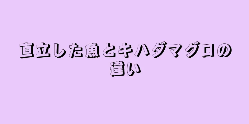 直立した魚とキハダマグロの違い