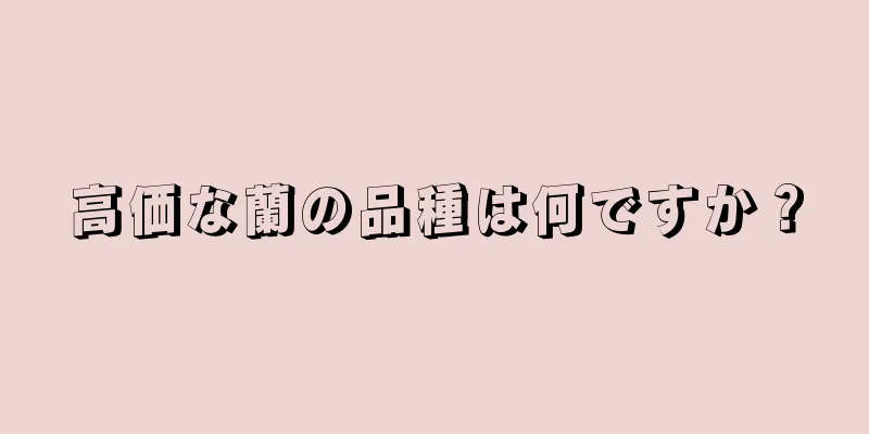 高価な蘭の品種は何ですか？