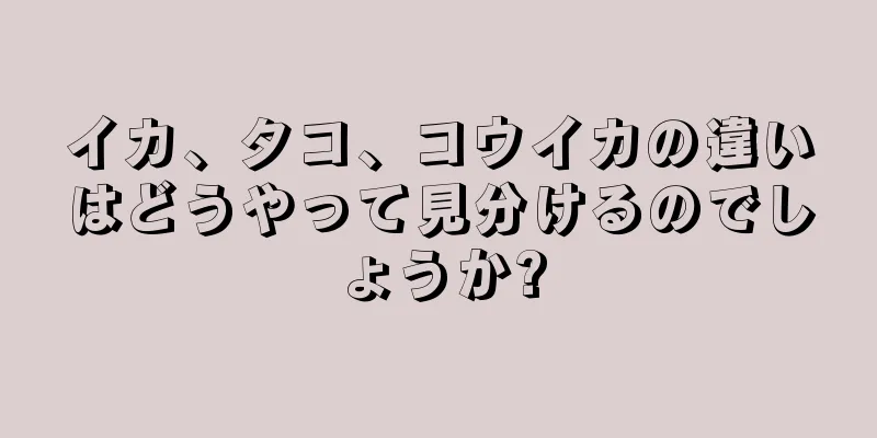 イカ、タコ、コウイカの違いはどうやって見分けるのでしょうか?