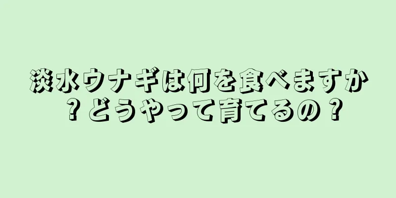 淡水ウナギは何を食べますか？どうやって育てるの？