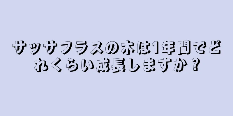 サッサフラスの木は1年間でどれくらい成長しますか？