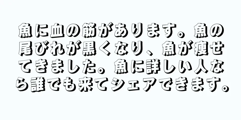 魚に血の筋があります。魚の尾びれが黒くなり、魚が痩せてきました。魚に詳しい人なら誰でも来てシェアできます。