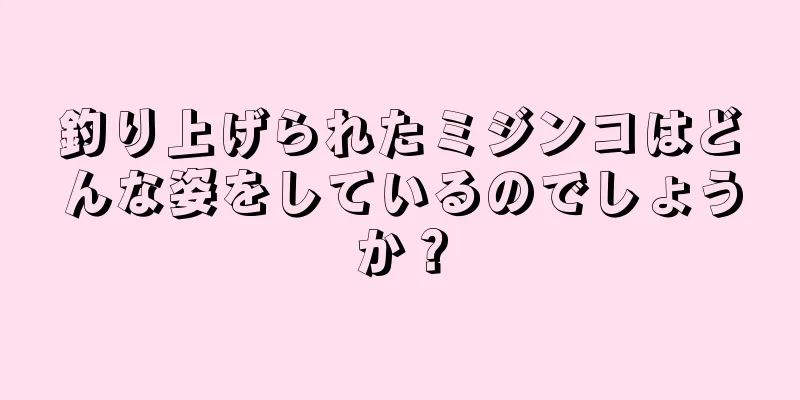 釣り上げられたミジンコはどんな姿をしているのでしょうか？