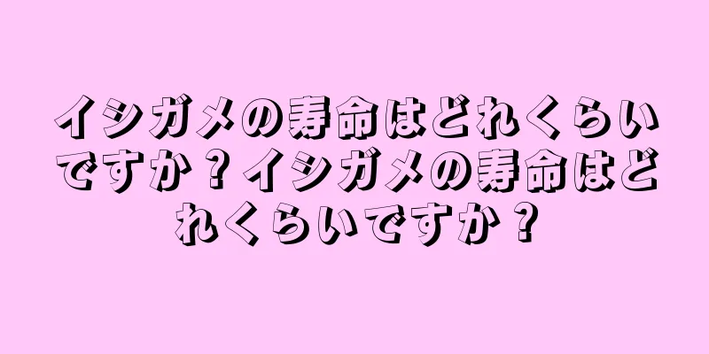 イシガメの寿命はどれくらいですか？イシガメの寿命はどれくらいですか？