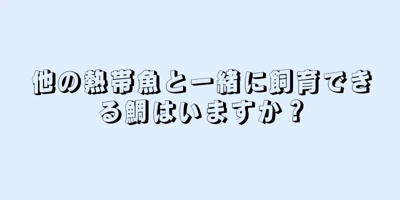 他の熱帯魚と一緒に飼育できる鯛はいますか？