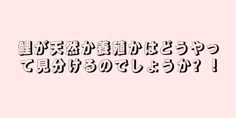鯉が天然か養殖かはどうやって見分けるのでしょうか? ！