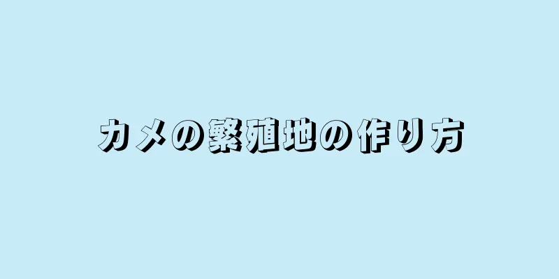 カメの繁殖地の作り方