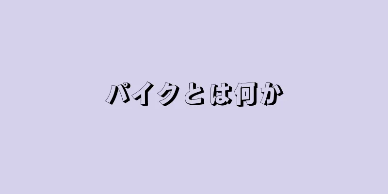パイクとは何か