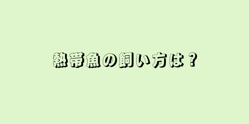 熱帯魚の飼い方は？