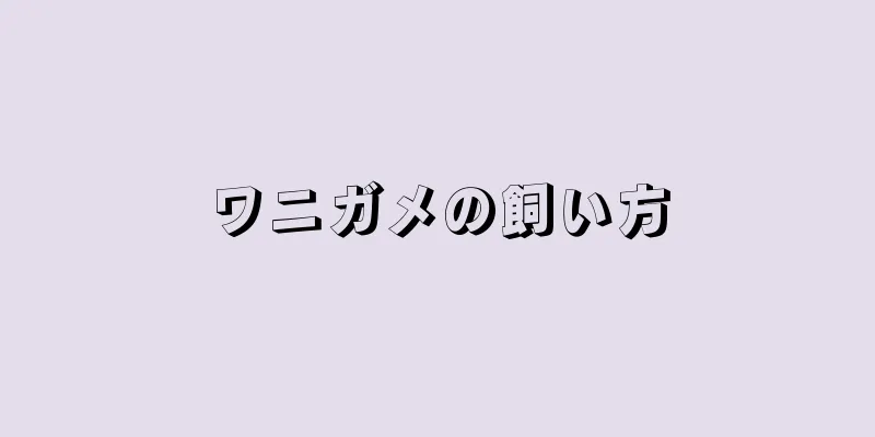 ワニガメの飼い方