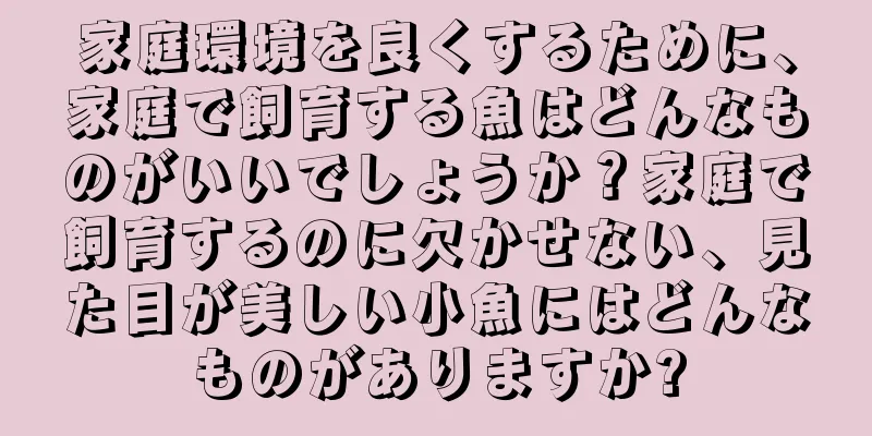 家庭環境を良くするために、家庭で飼育する魚はどんなものがいいでしょうか？家庭で飼育するのに欠かせない、見た目が美しい小魚にはどんなものがありますか?