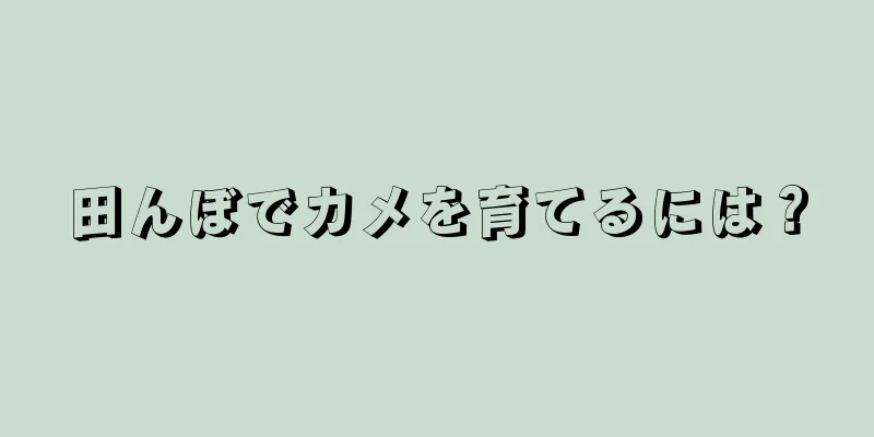 田んぼでカメを育てるには？