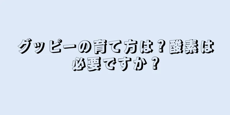 グッピーの育て方は？酸素は必要ですか？