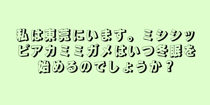 私は東莞にいます。ミシシッピアカミミガメはいつ冬眠を始めるのでしょうか？
