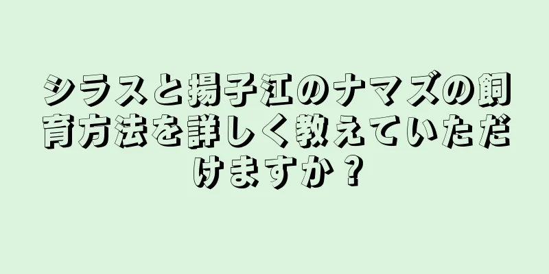 シラスと揚子江のナマズの飼育方法を詳しく教えていただけますか？