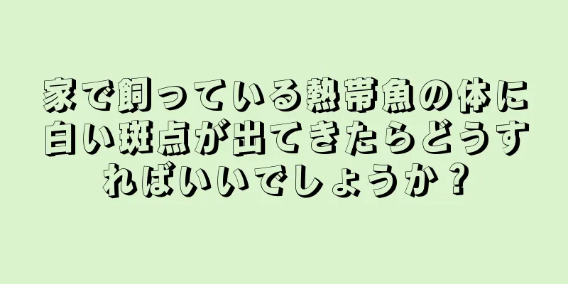 家で飼っている熱帯魚の体に白い斑点が出てきたらどうすればいいでしょうか？