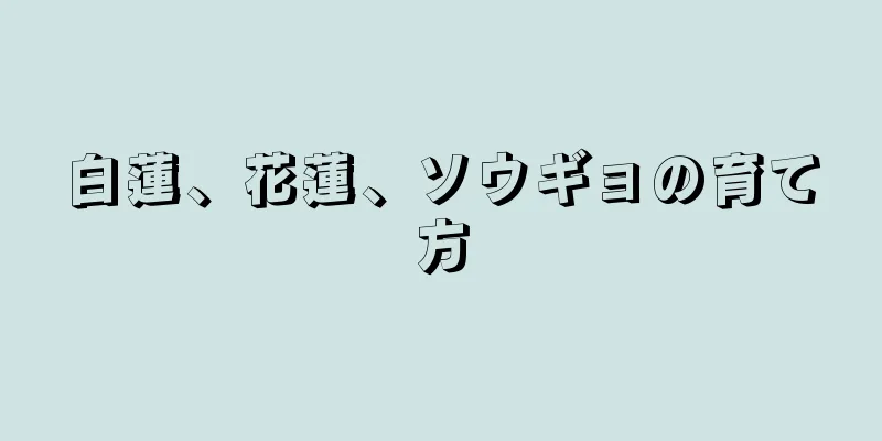 白蓮、花蓮、ソウギョの育て方