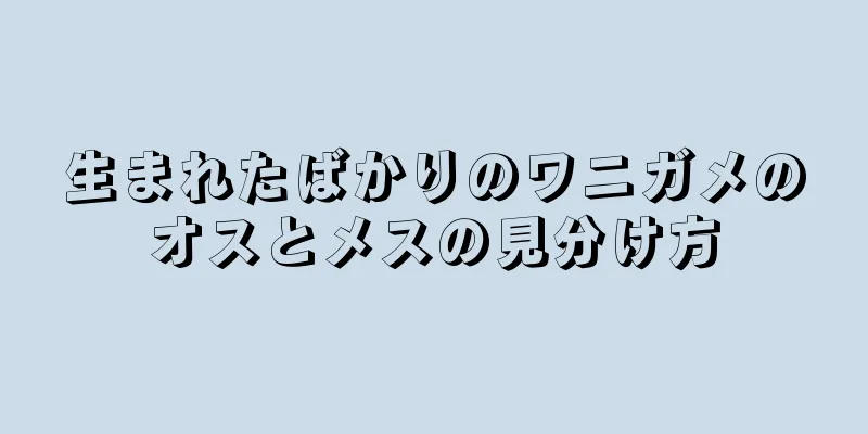 生まれたばかりのワニガメのオスとメスの見分け方