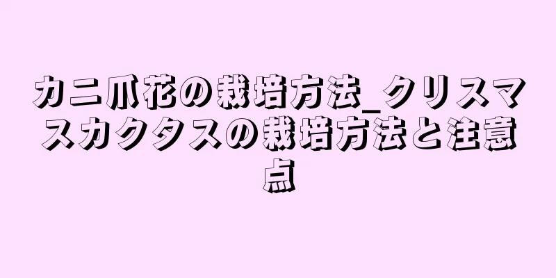 カニ爪花の栽培方法_クリスマスカクタスの栽培方法と注意点