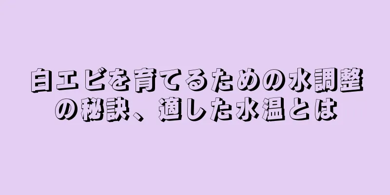 白エビを育てるための水調整の秘訣、適した水温とは