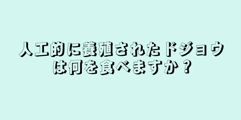 人工的に養殖されたドジョウは何を食べますか？