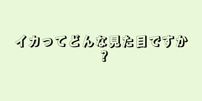 イカってどんな見た目ですか？