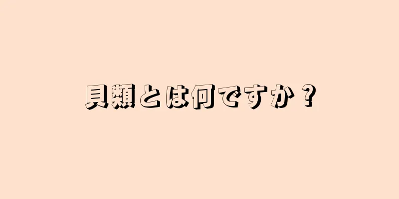 貝類とは何ですか？