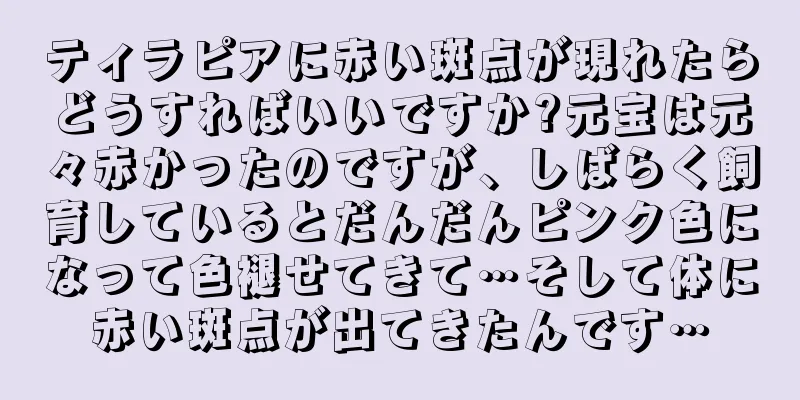 ティラピアに赤い斑点が現れたらどうすればいいですか?元宝は元々赤かったのですが、しばらく飼育しているとだんだんピンク色になって色褪せてきて…そして体に赤い斑点が出てきたんです…